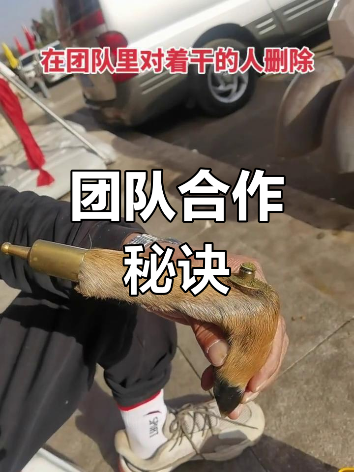 团队合作在比赛中发挥关键作用